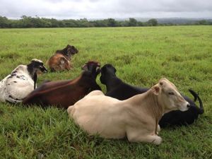 10616503_978660478815615_4902541093578401989_n