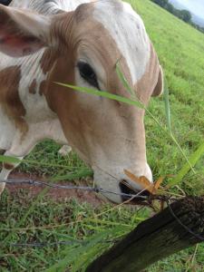 10801854_978660595482270_6652227824624754295_n