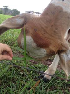 1476062_978660532148943_2913808380927855032_n